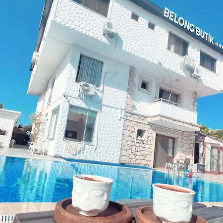 بيت شباب Belong *