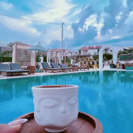 بيت شباب Belong