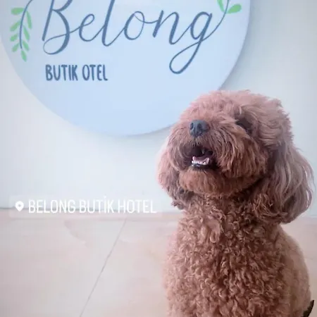 Belong Хостел *