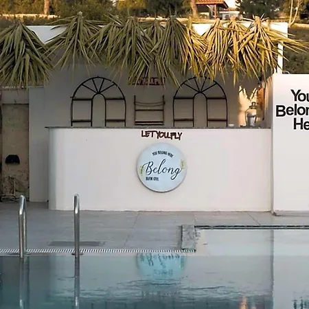 Belong *